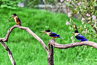 开放世界复古JRPG游戏《无限魔力》现已在Steam平台推出