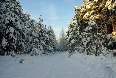 《无主之地3》NS版通过PEGI评级 或将正式公布